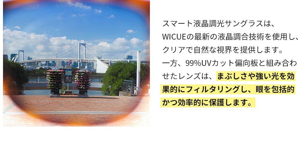 着用時　イメージ　まぶしさや強い光を効果的にフィルタリングし、眼を包括的かつ効率的に保護します。